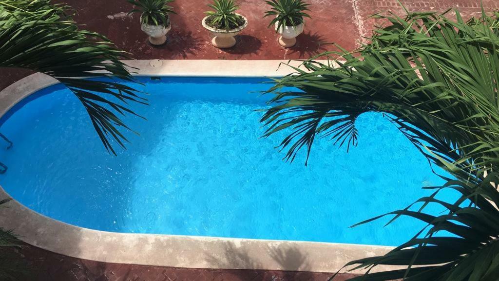 Arcoiris Share Apartment Bavaro Punta Cana Extérieur photo